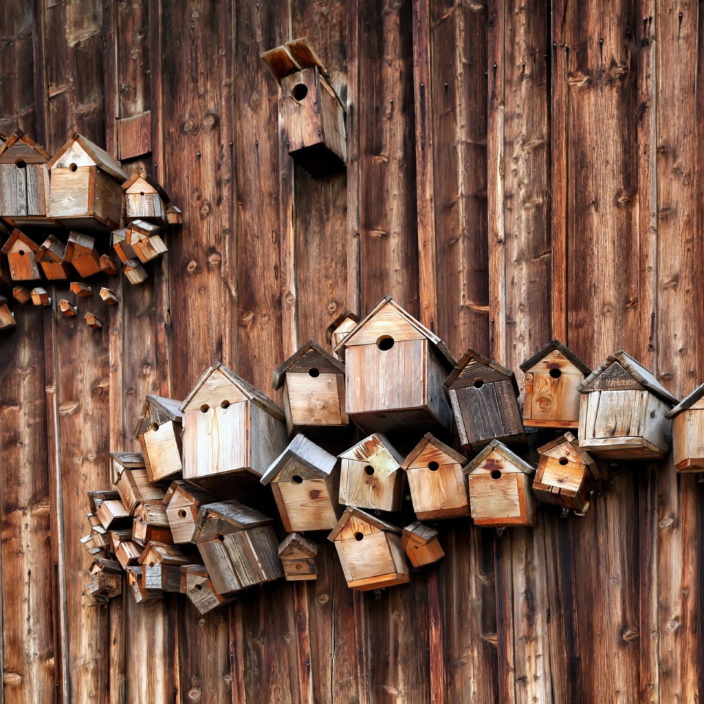 Скворечники на деревянной стене