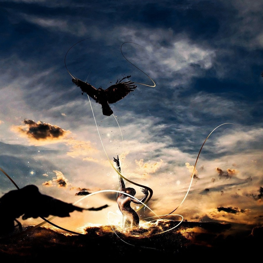 Птицы рвутся к свободе