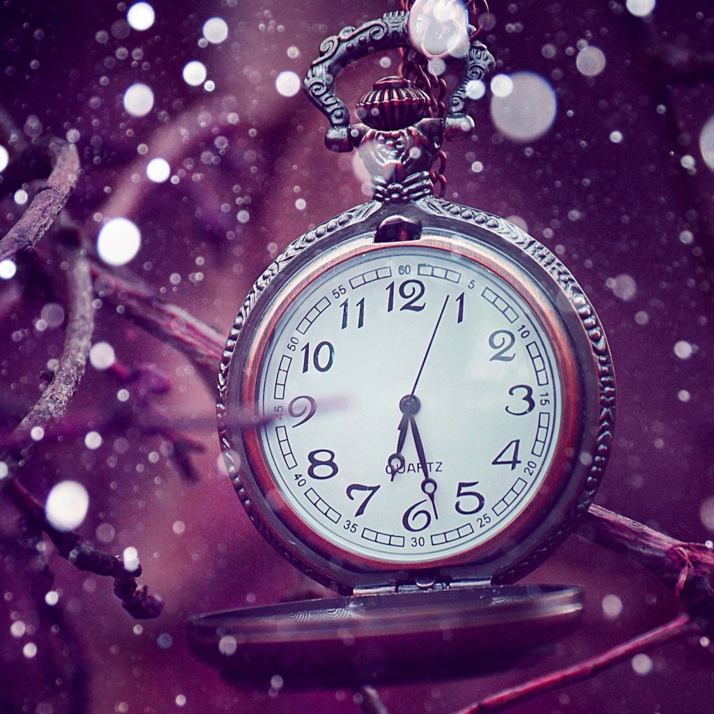 Часы среди снежинок