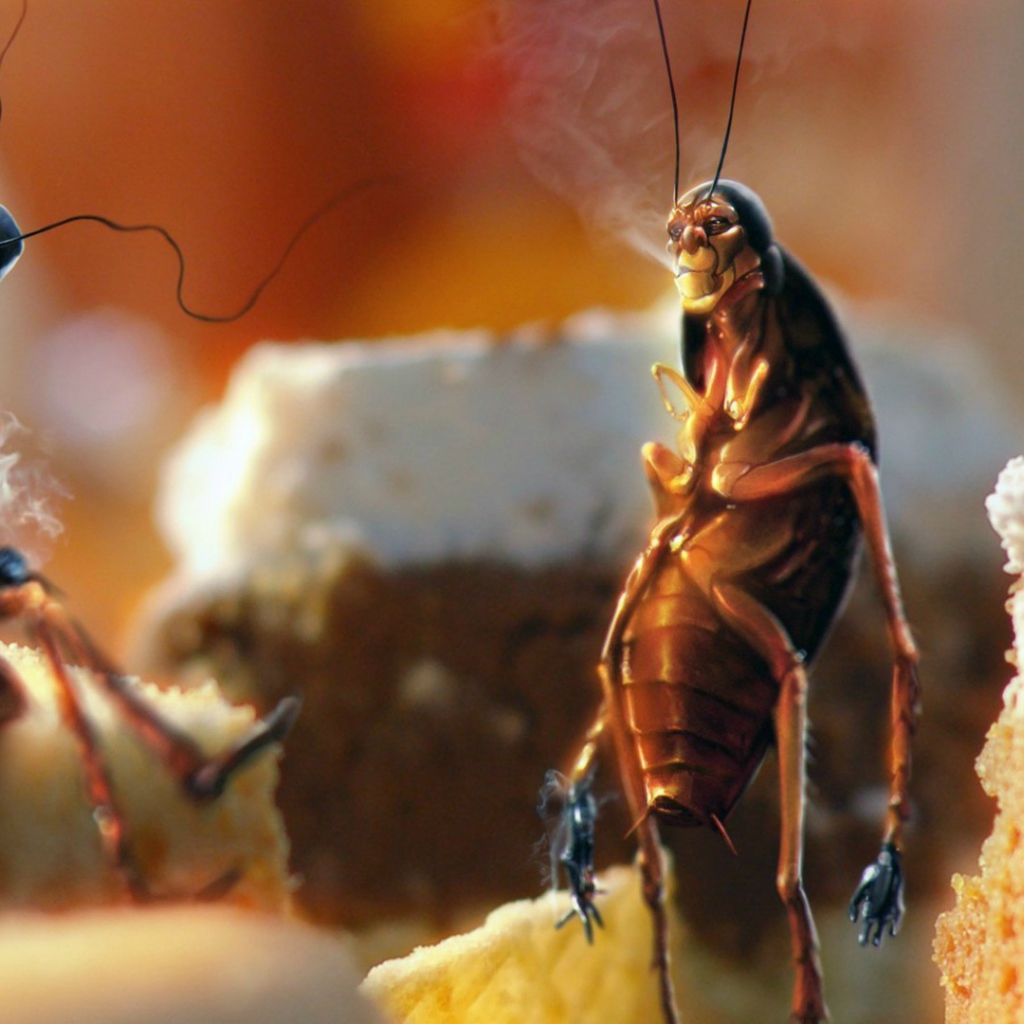 Тараканы рабы вредной привычки