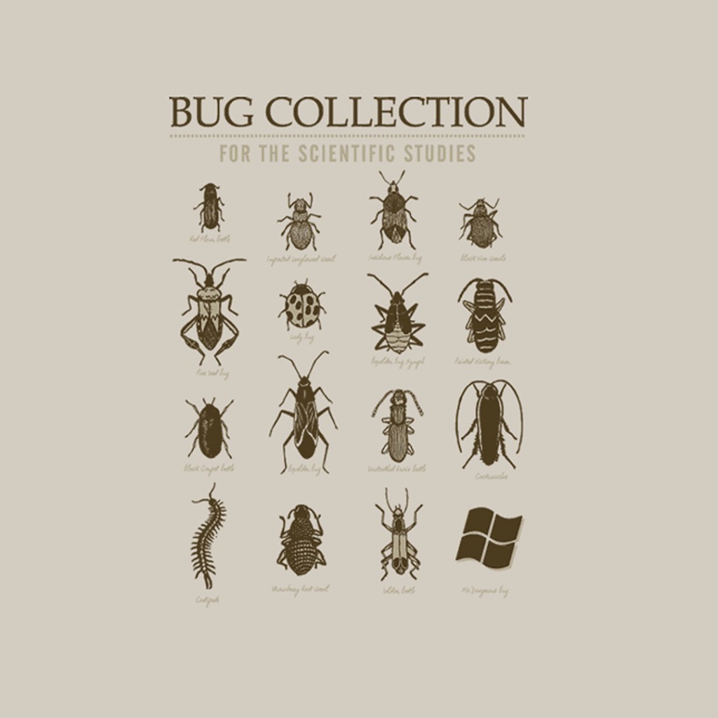 Коллекция неизвестных жуков