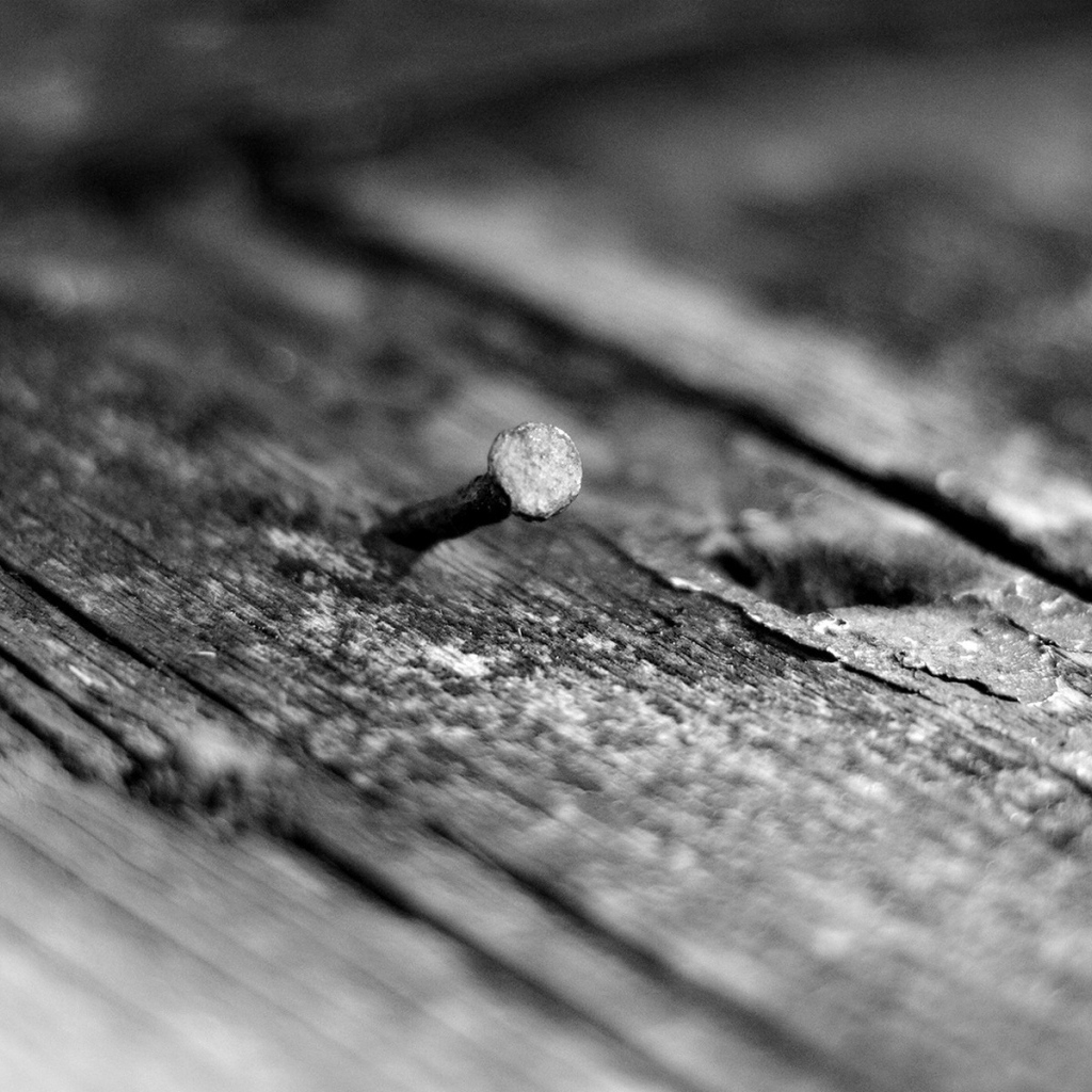 Кривой гвоздь в дереве