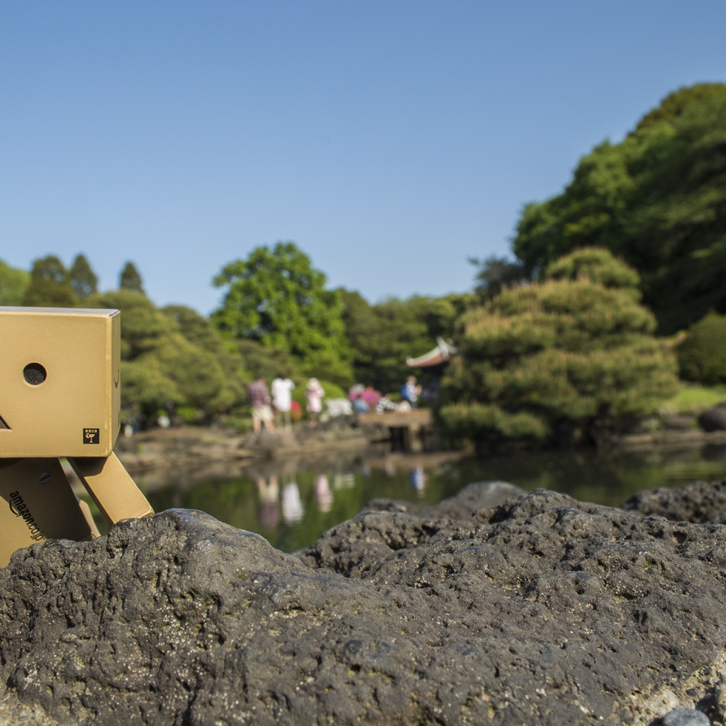 Данбору кун прячется за камнем