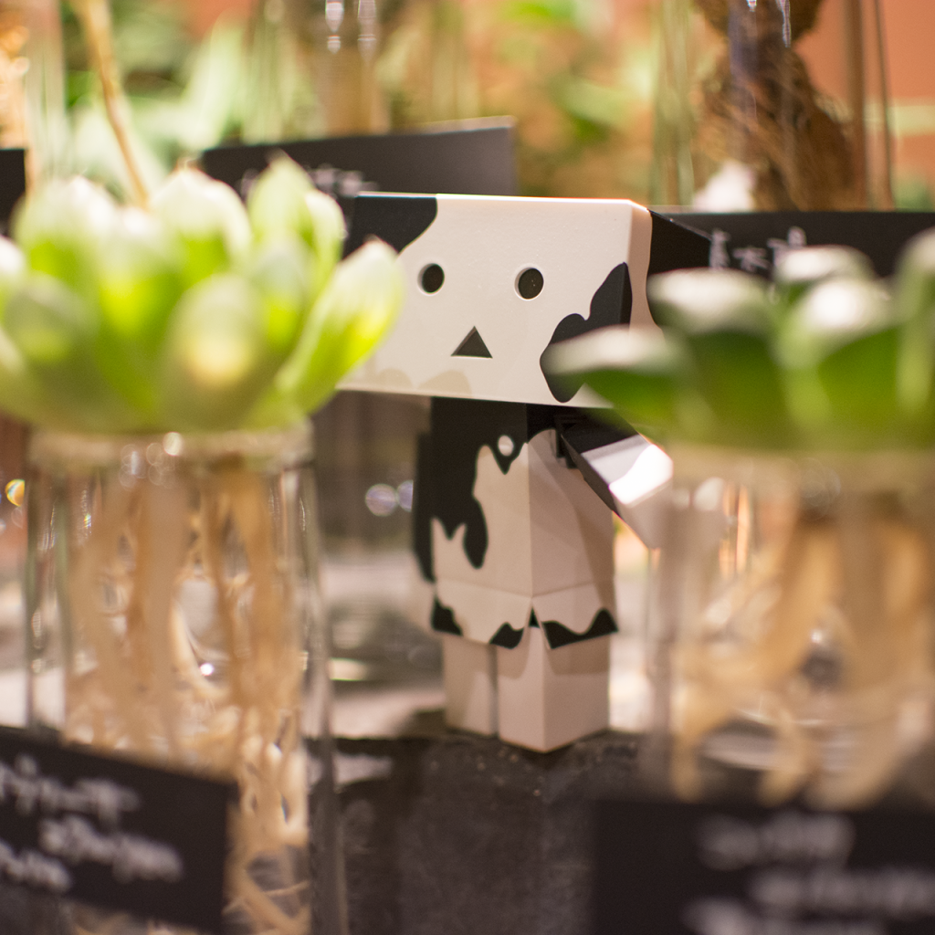 Дандо в маскировке