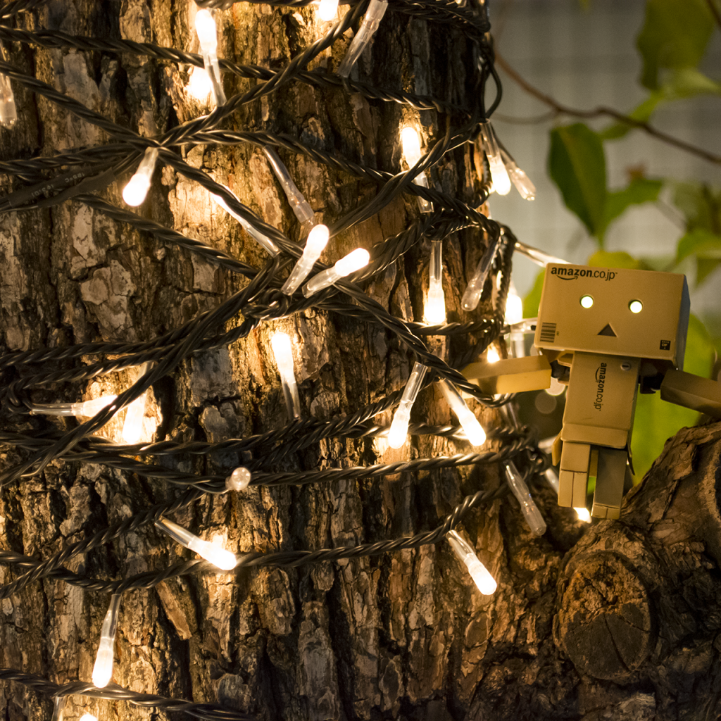 Дандо на дереве