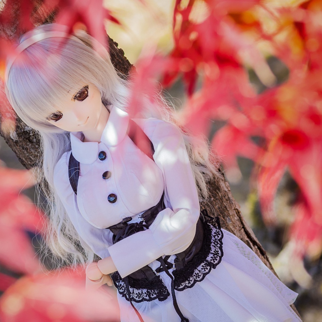 Кукла среди осенней листвы