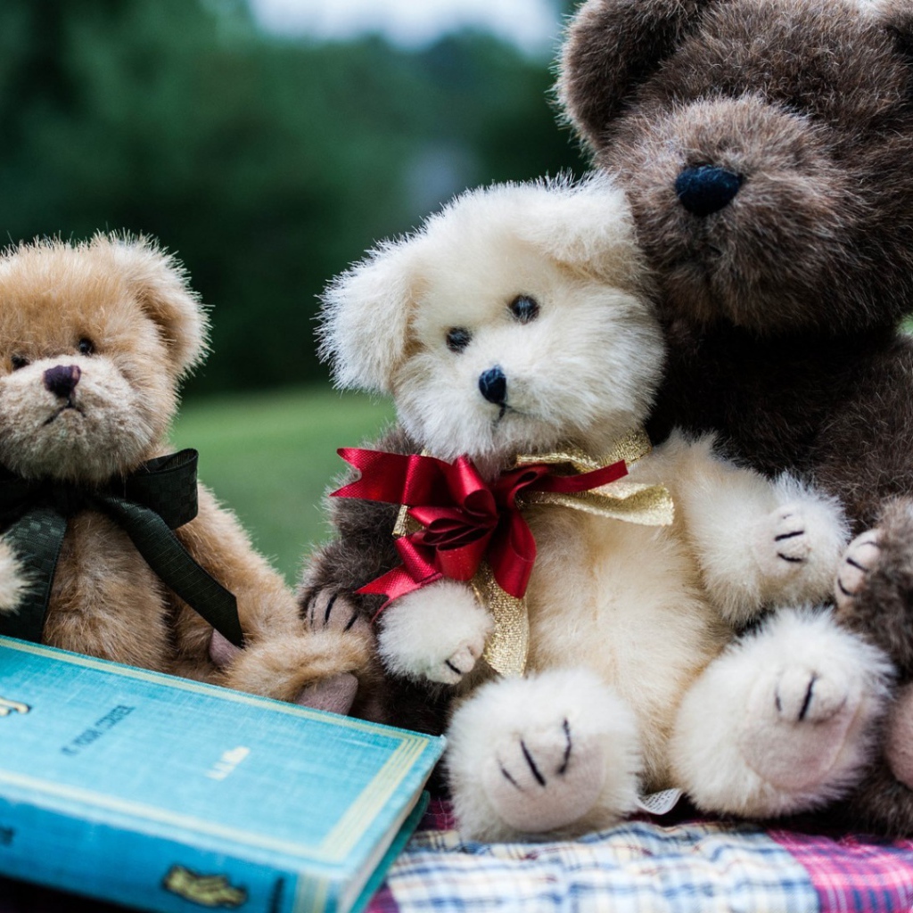 Семейство плюшевых медведей с книгой