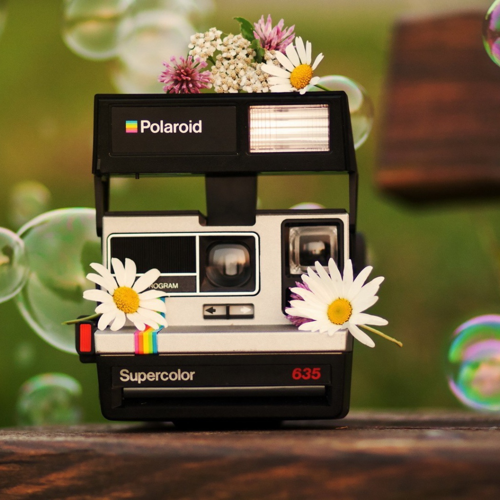 Цветы на фотоаппарате Полароид