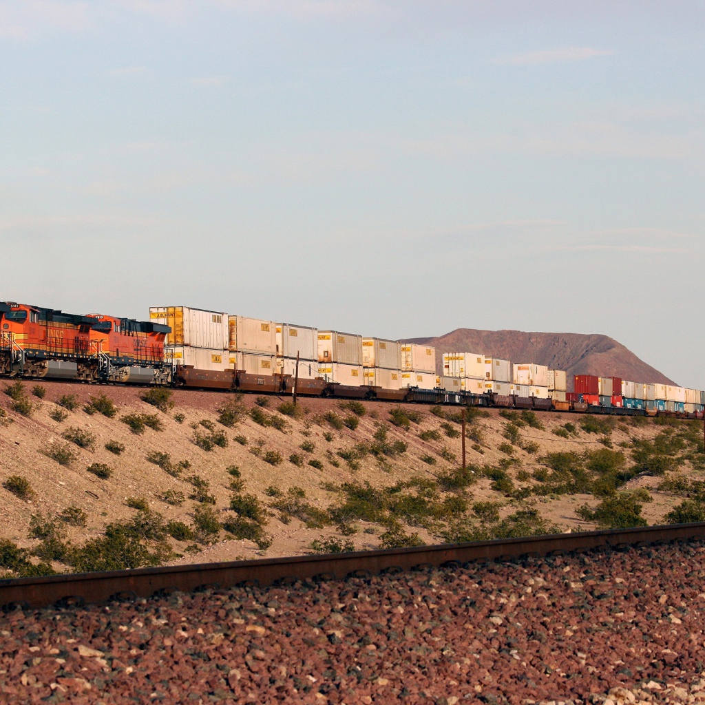 Грузовой поезд перевозит контейнеры