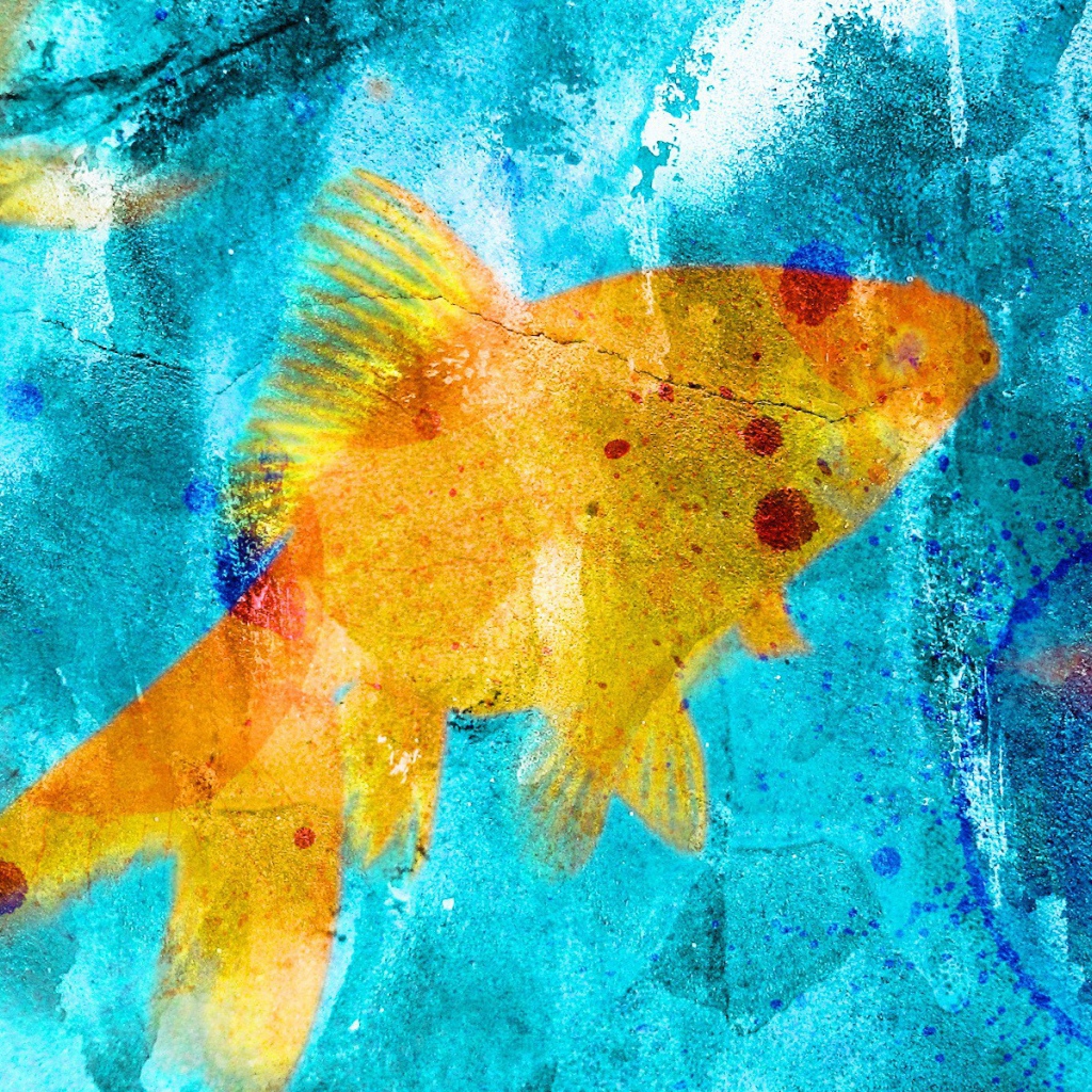 Граффити рыбка на голубом фоне