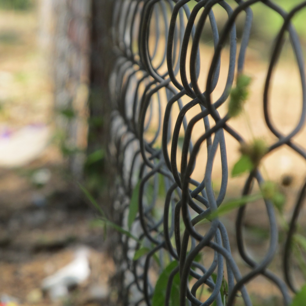 Зелень вьется по решетке