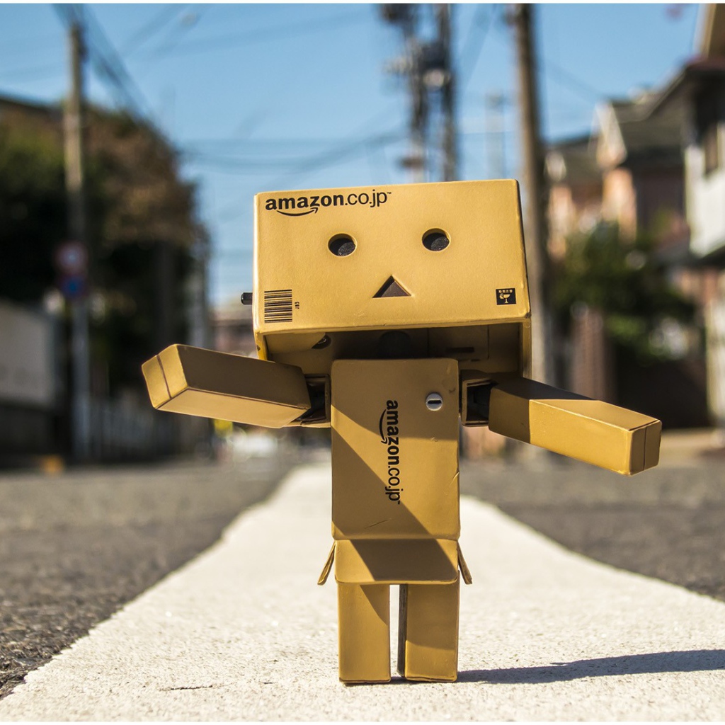 Японский Дандо стоит на дороге