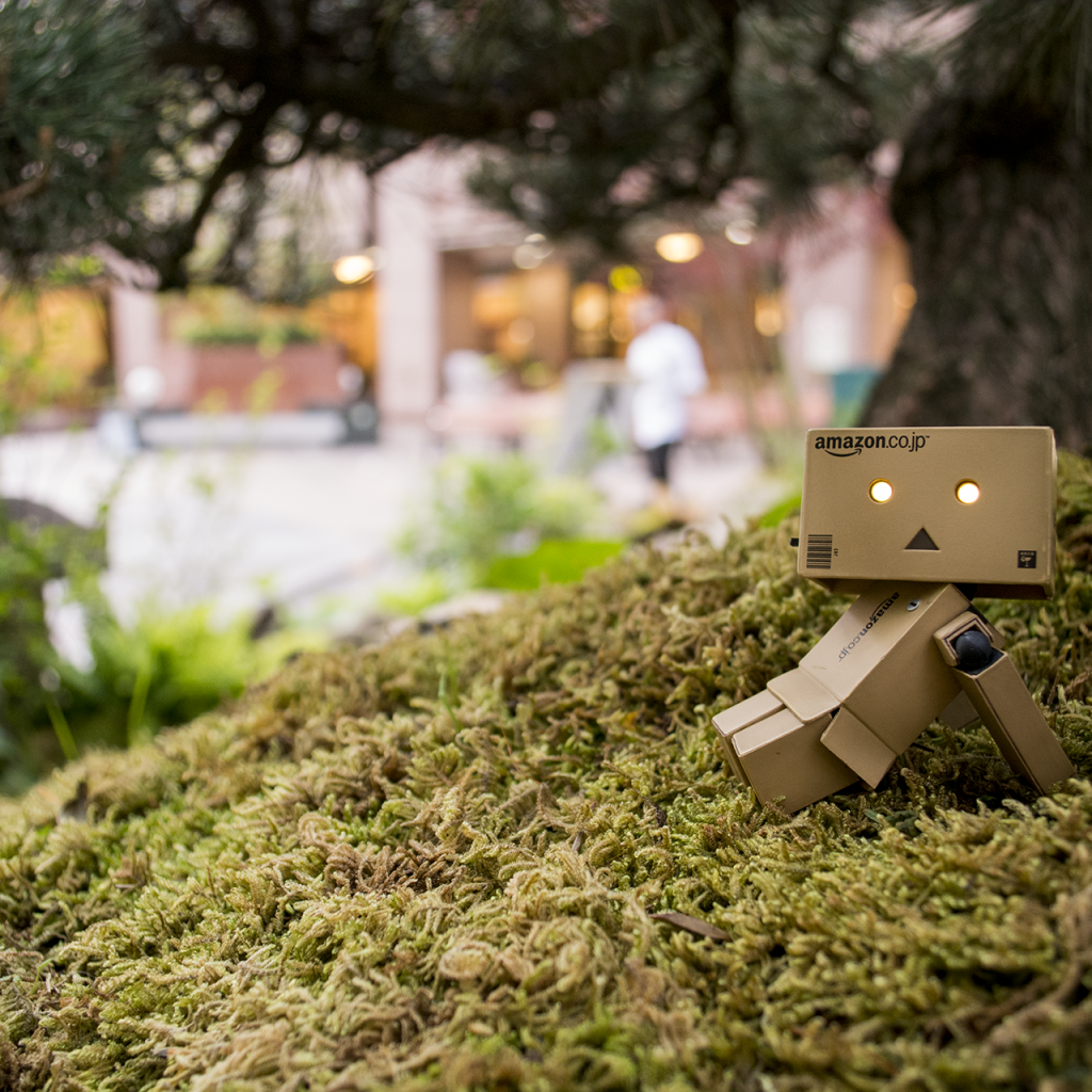 Японский Дандо на мху