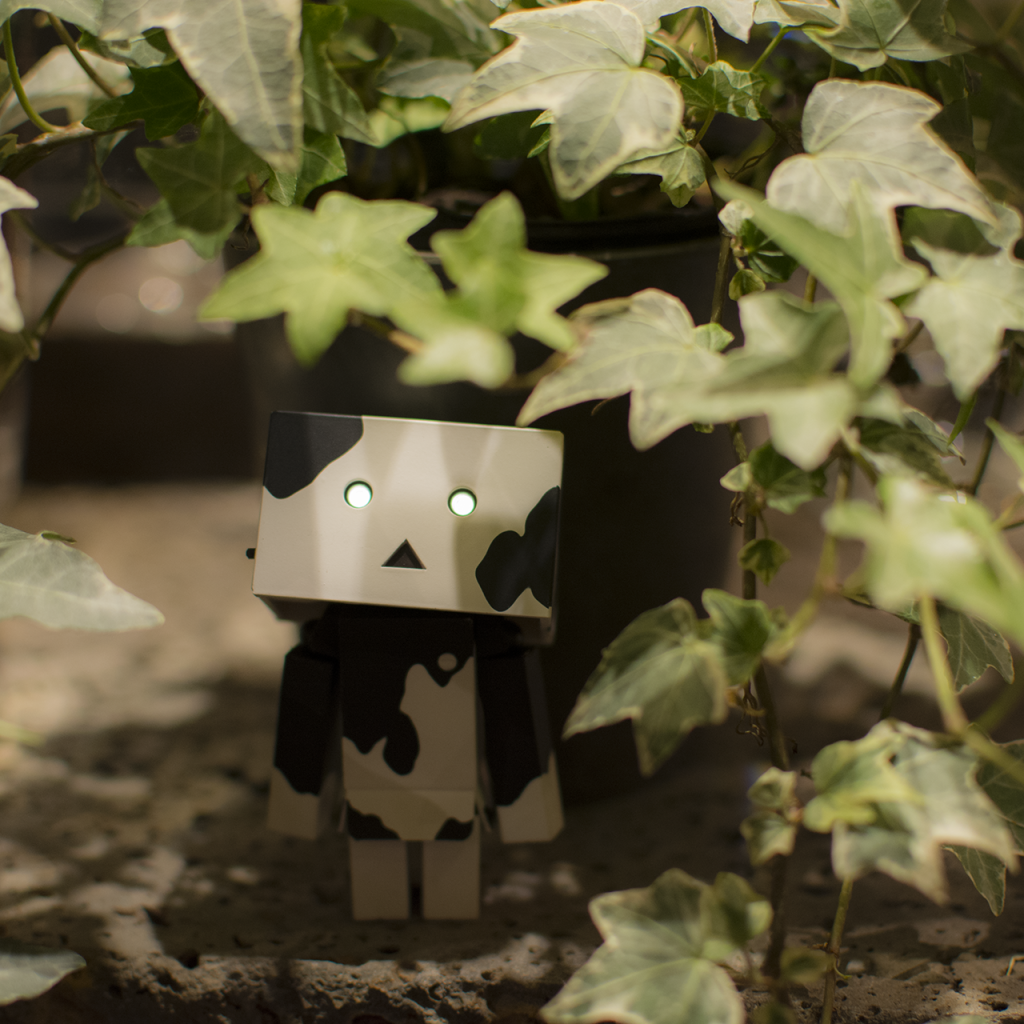 Японский Дандо под листьями