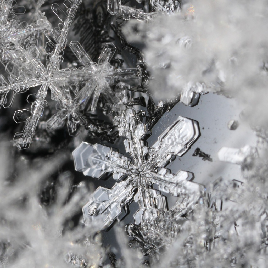 Макро фото снежинок