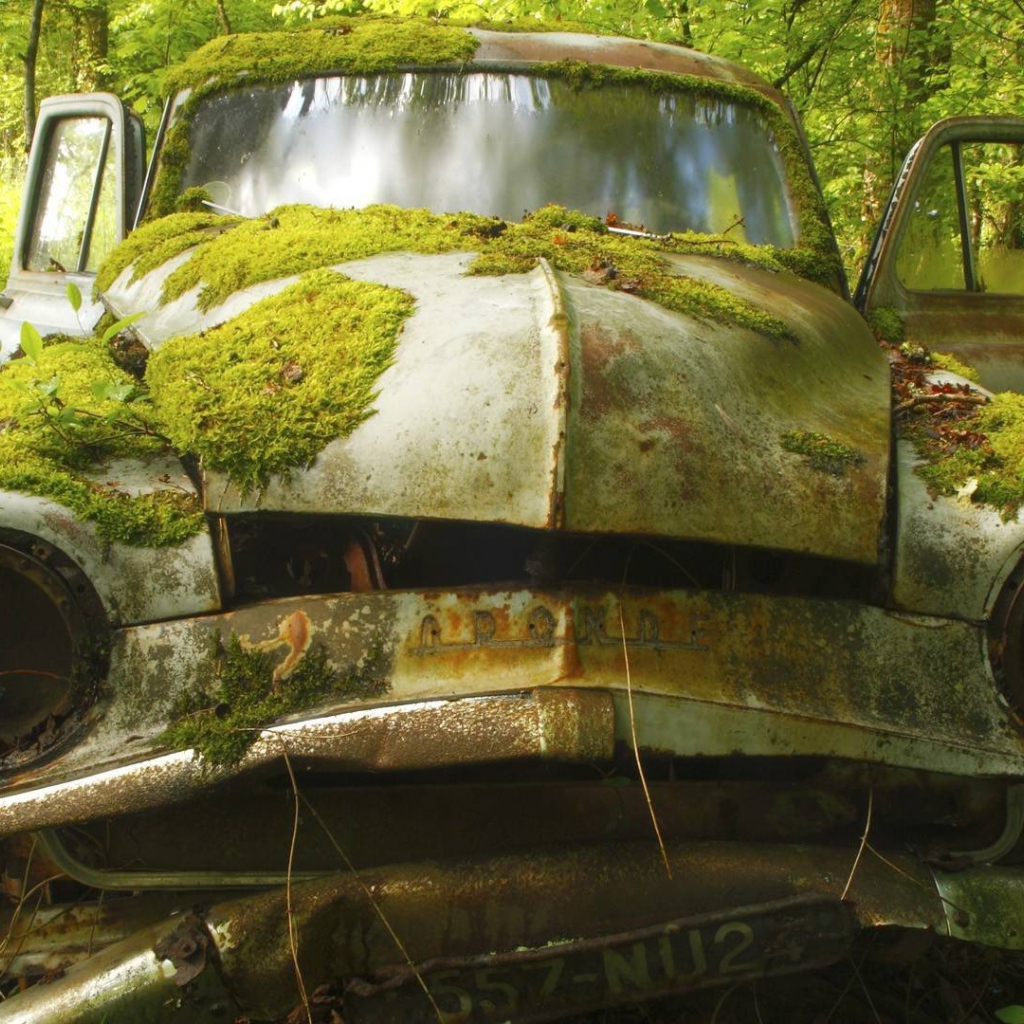 Покрытый мхом корпус автомобиля
