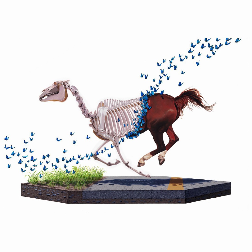 Бабочки съели лошадь