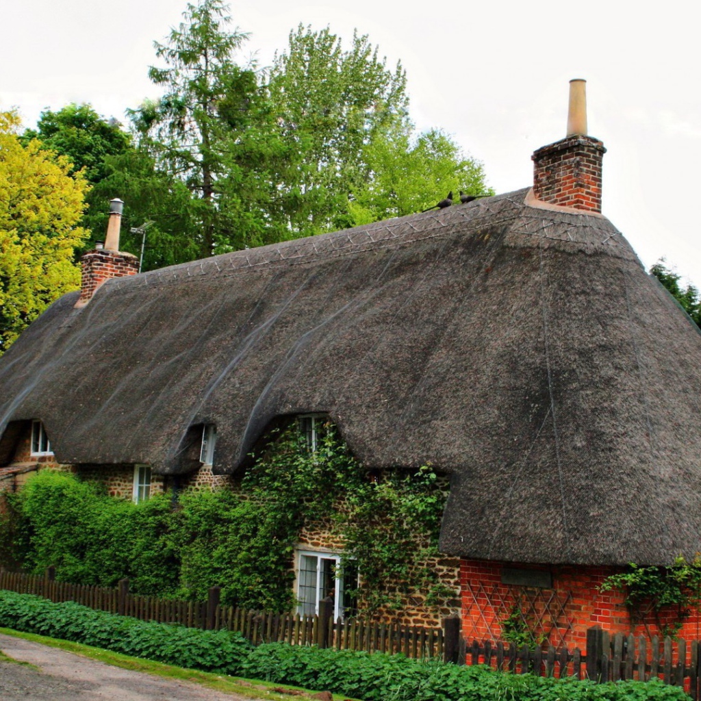 Старый дом, увитый плющом