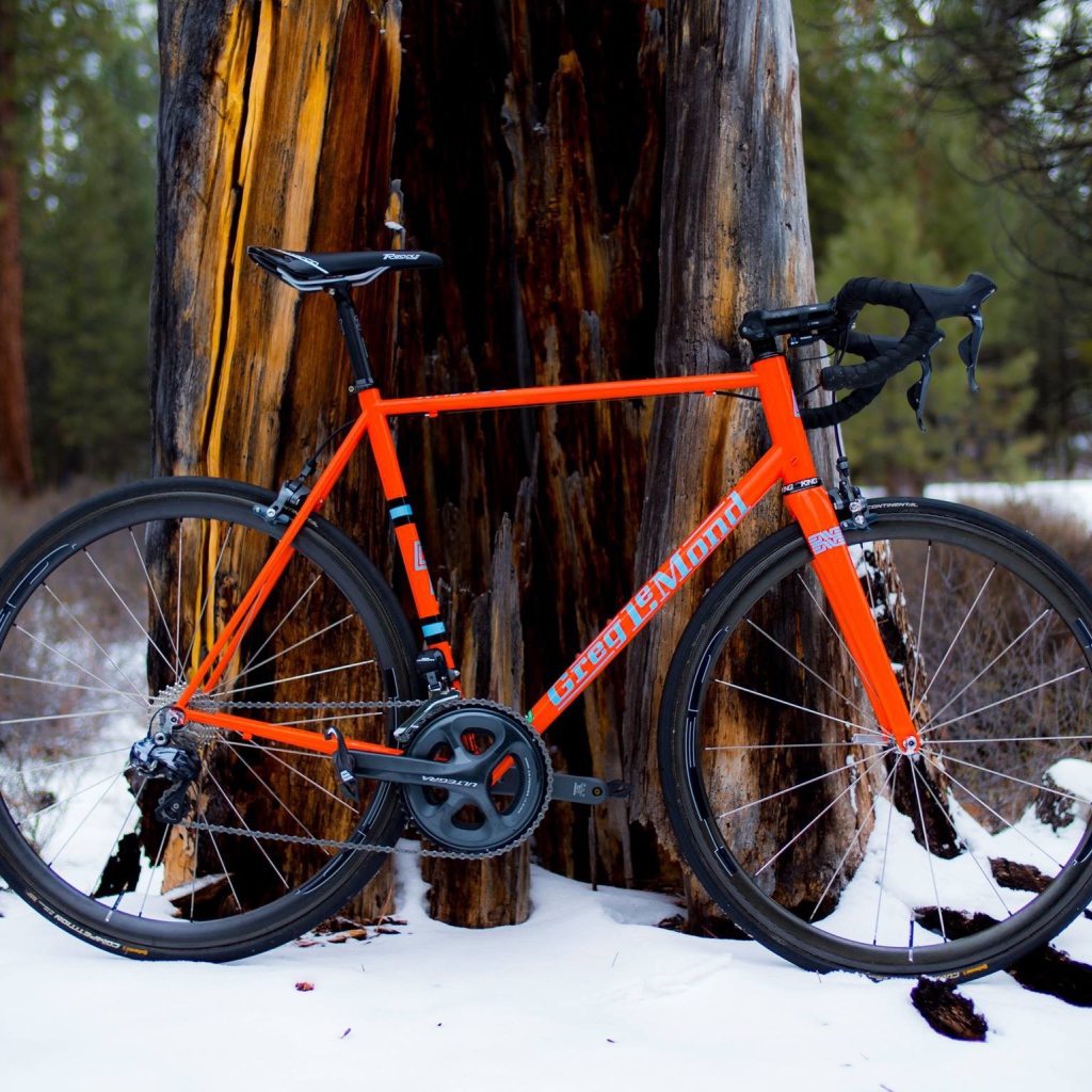 Оранжевый велосипед у дерева