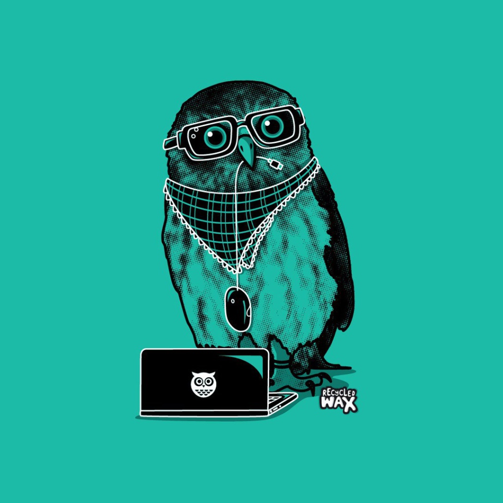 Сова в модной одежде