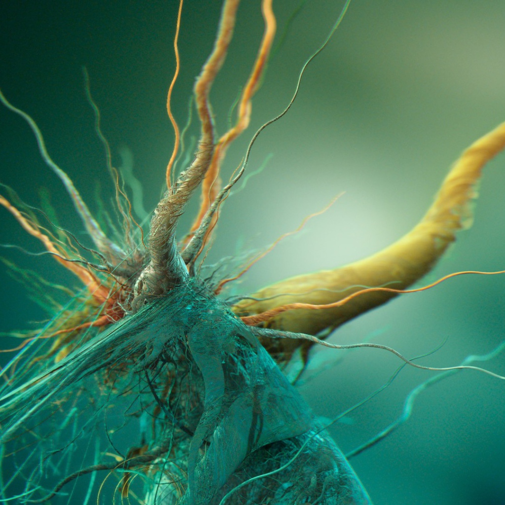 Фото микроорганизма под увеличением