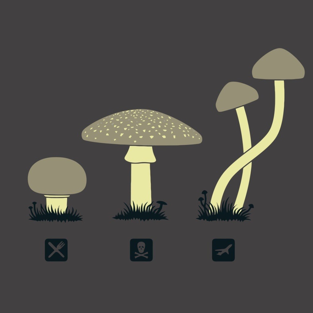 Предназначение разных грибов