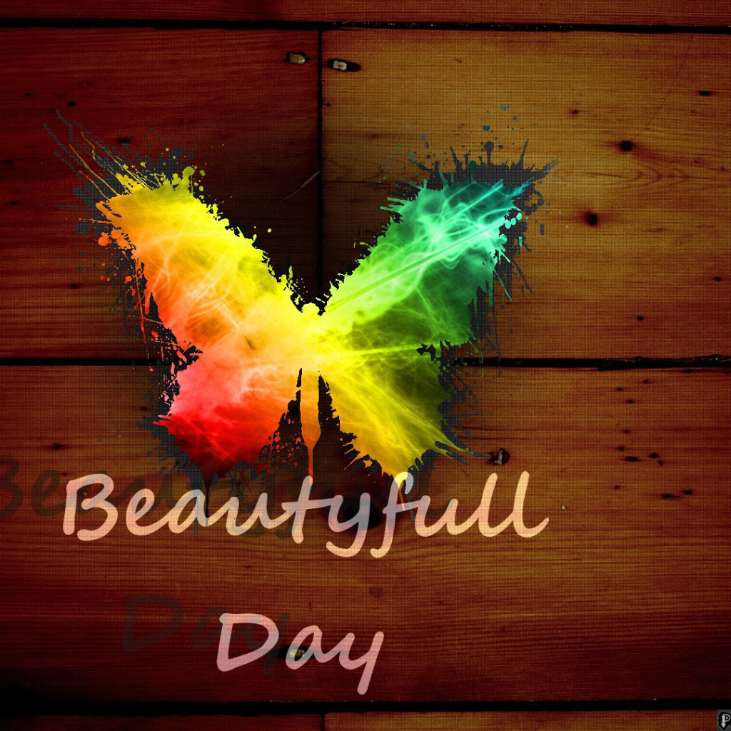 Радужная бабочка, прекрасный день