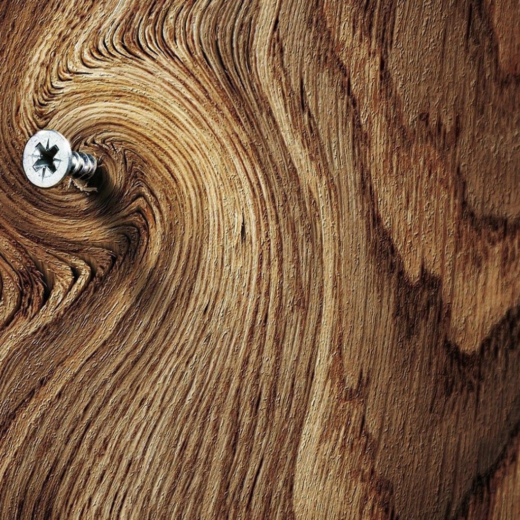 Шуруп в деревянной доске