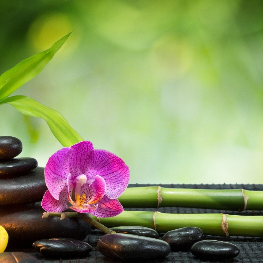 Набор для релаксации