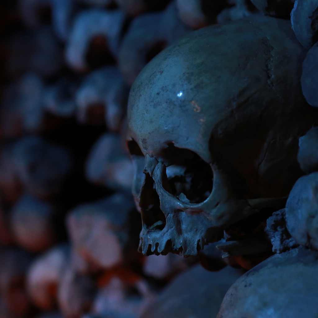 Череп среди костей в склепе