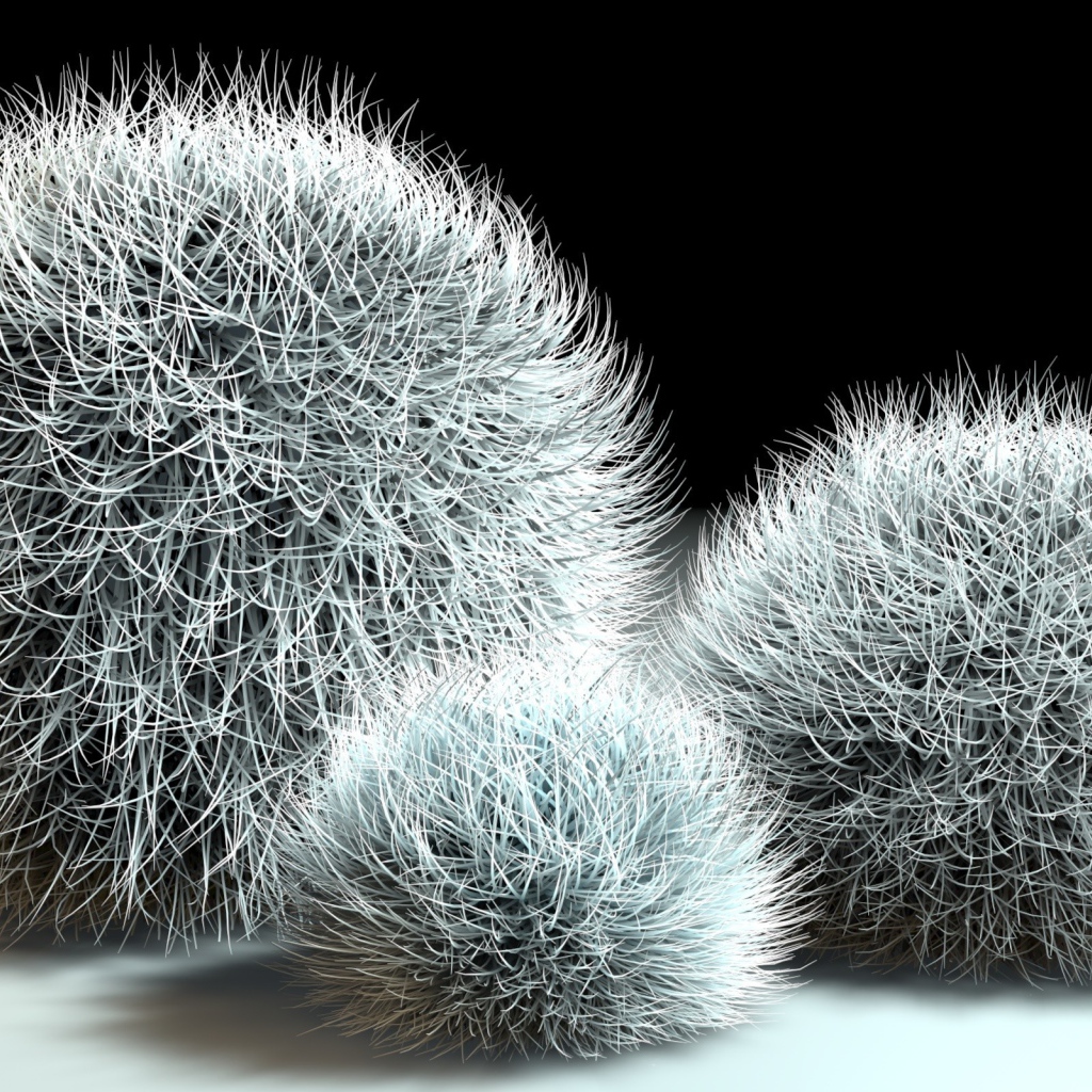 Шарики из мха