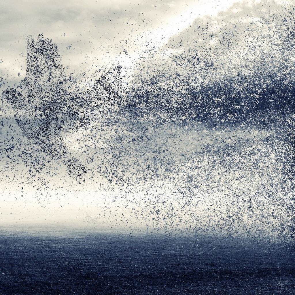 Птица вылетела из креста