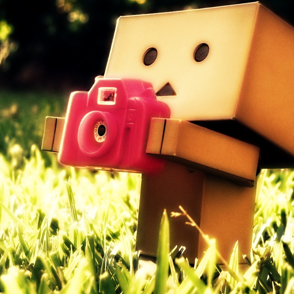 Картонный человечек с фотоаппаратом в траве