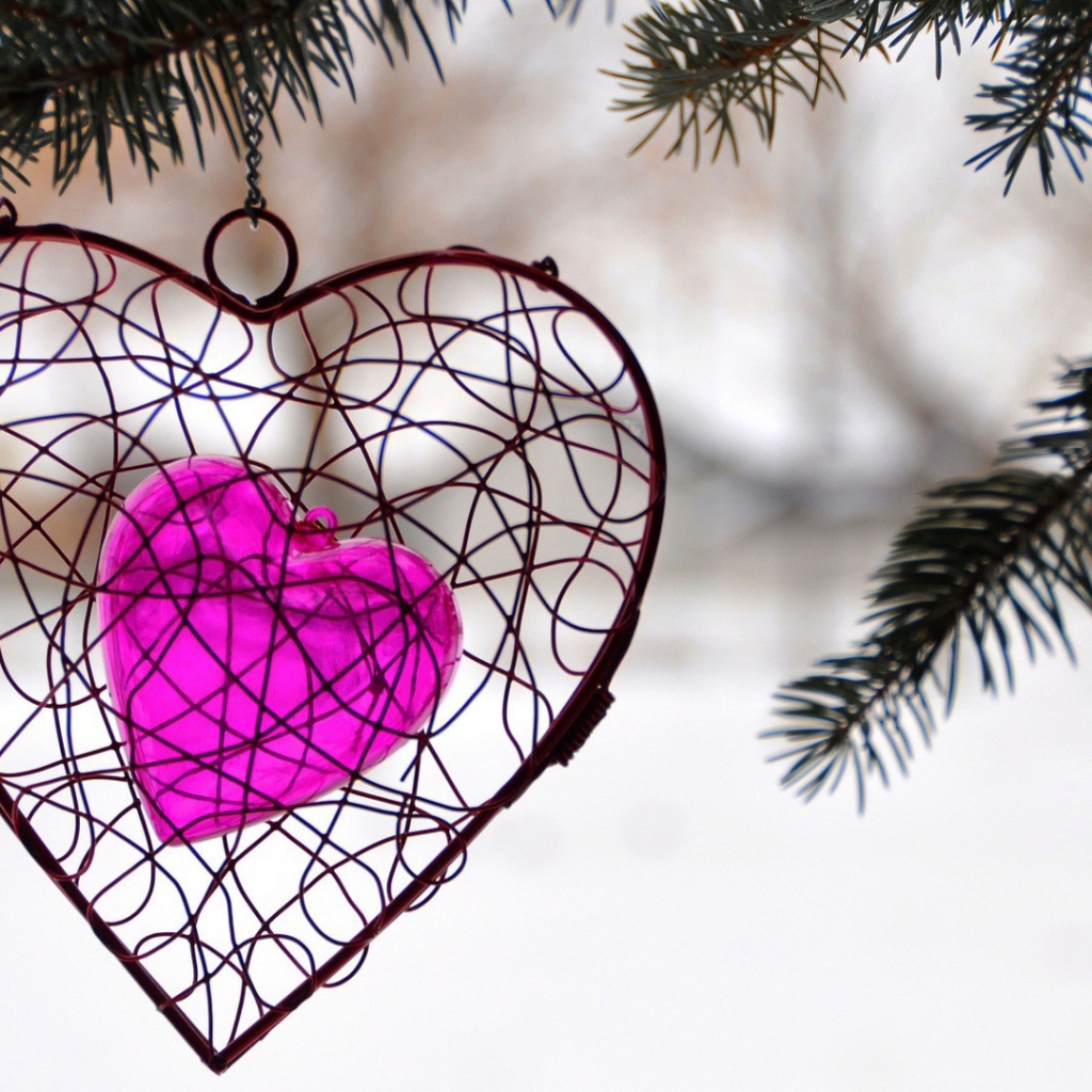 Украшение в виде сердца висит на ветке ели