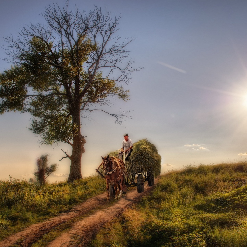 Крестьянин везет сено на телеге
