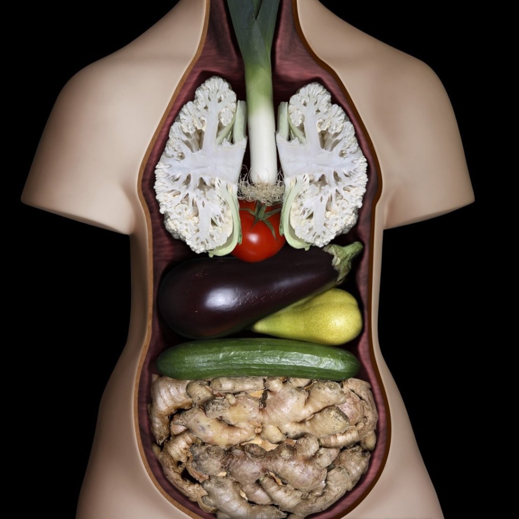 Внутренние органы из овощей