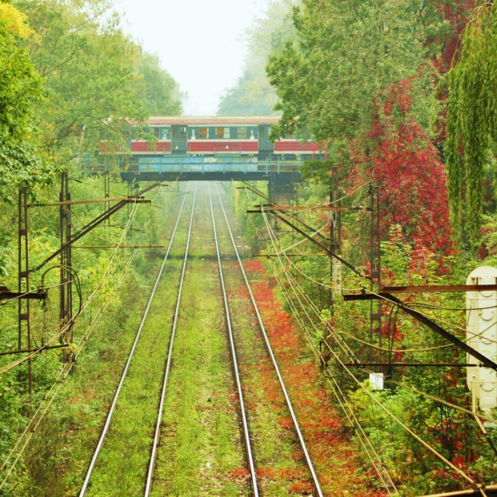 Пересечение железнодорожных путей
