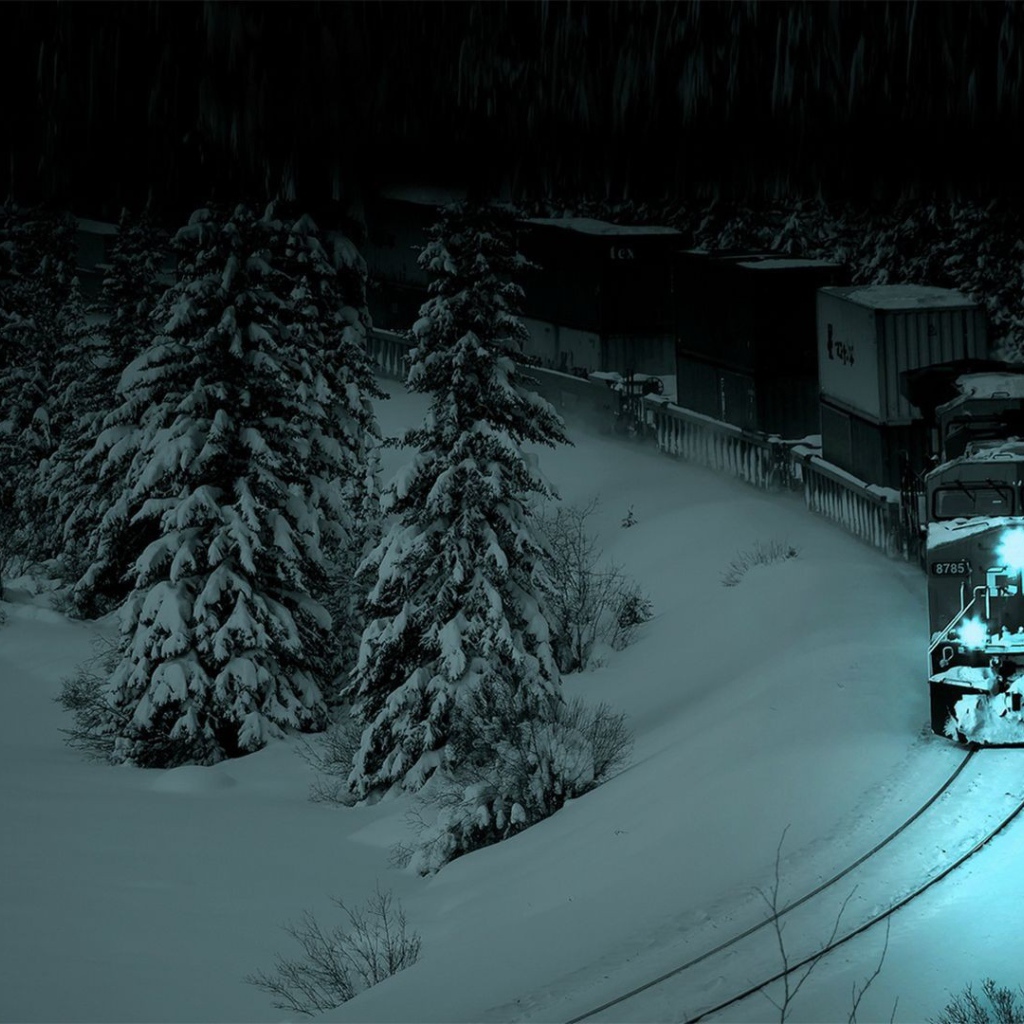 Поезд выезжает из заснеженного леса