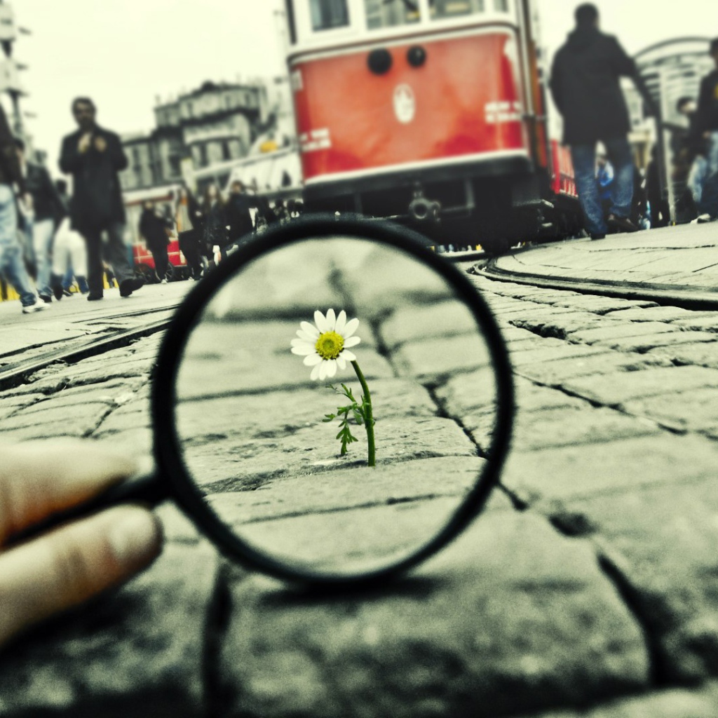 Воля к жизни, достойная уважения