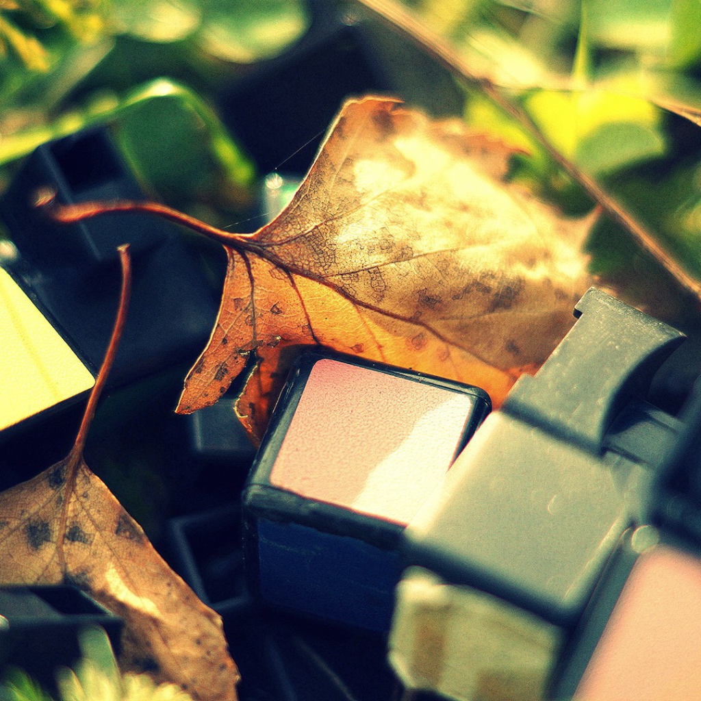 Обломки от кубика Рубика лежат среди листьев