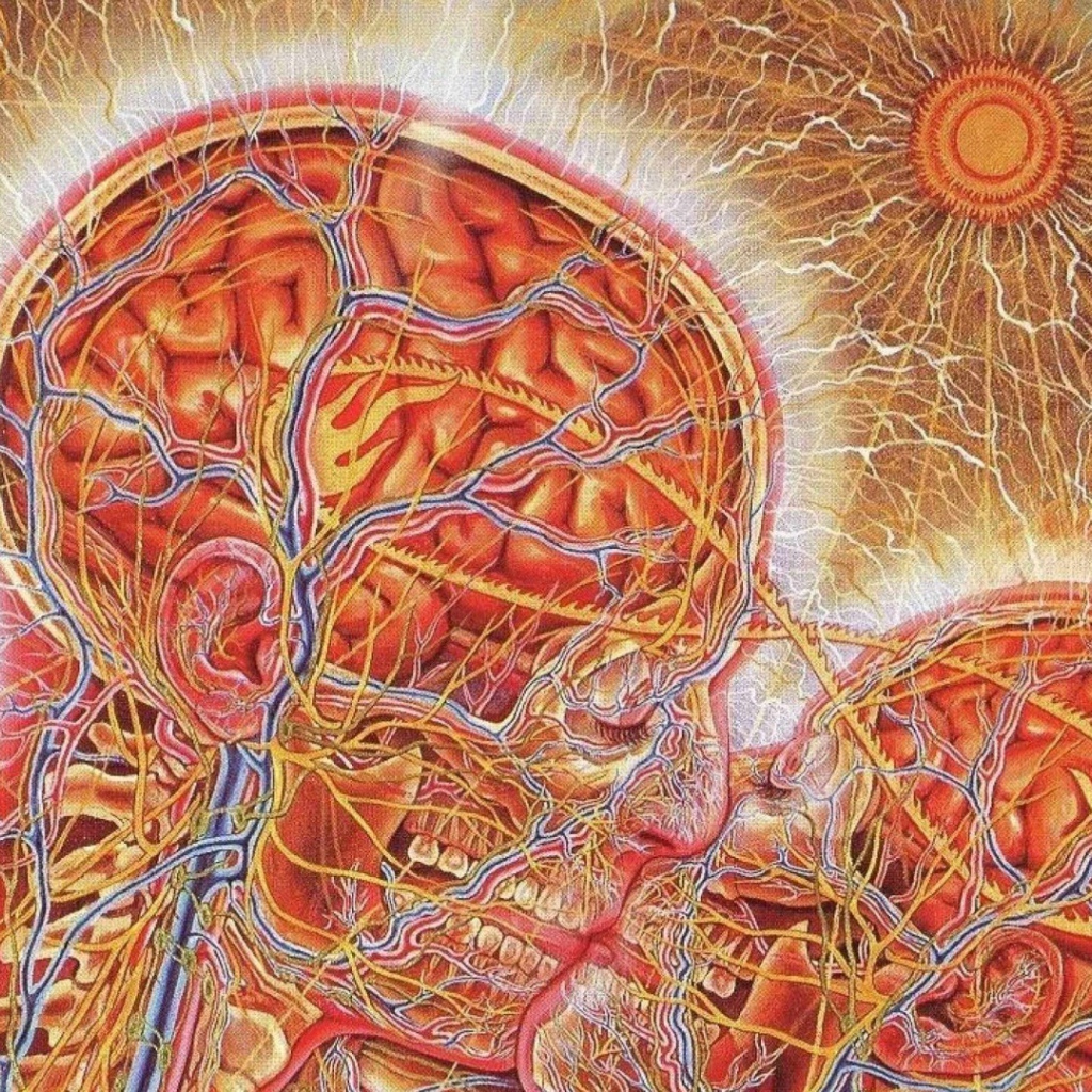 Настоящая химия любви