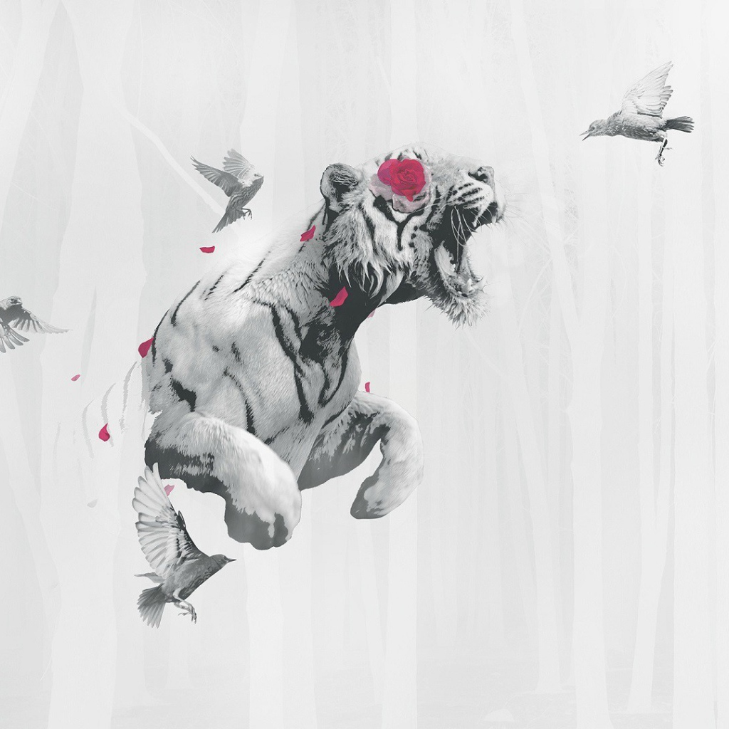 Тигр летит среди птиц