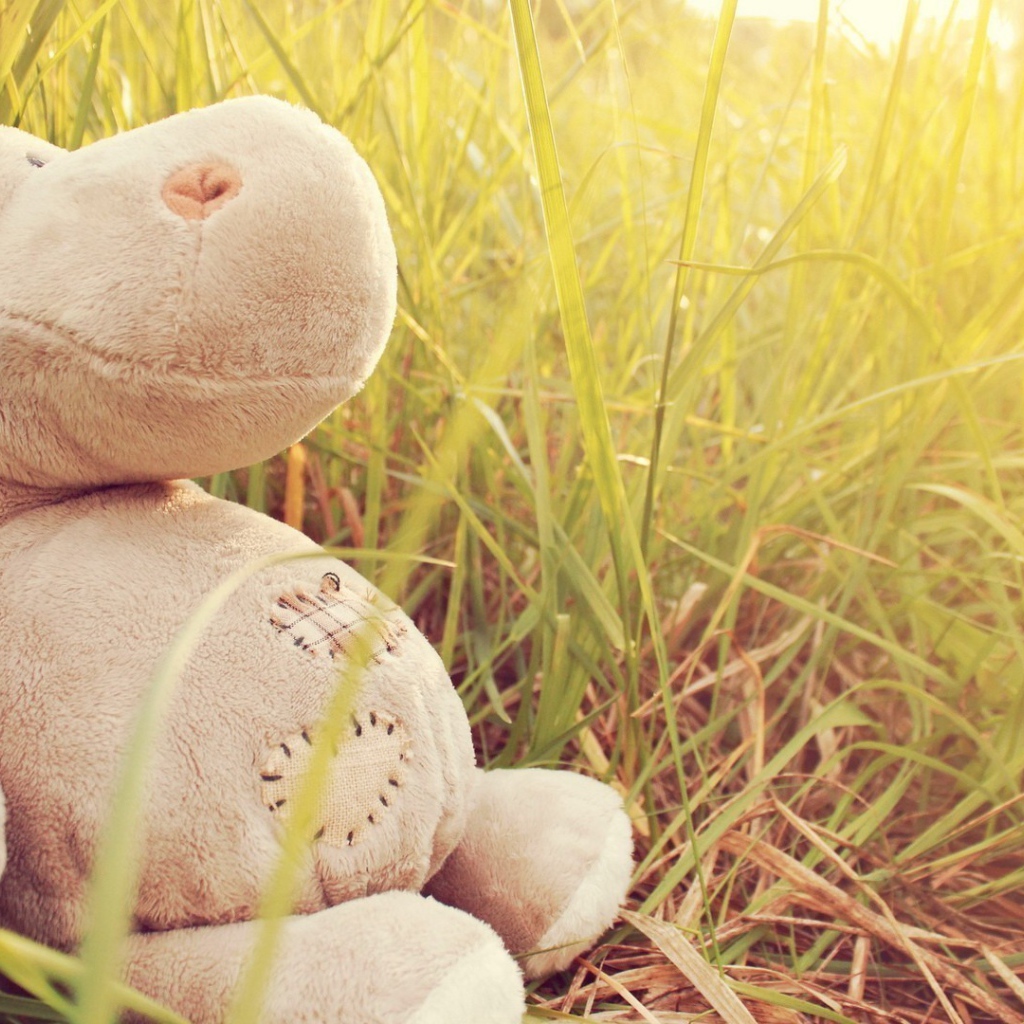 Игрушечный бегемот в траве