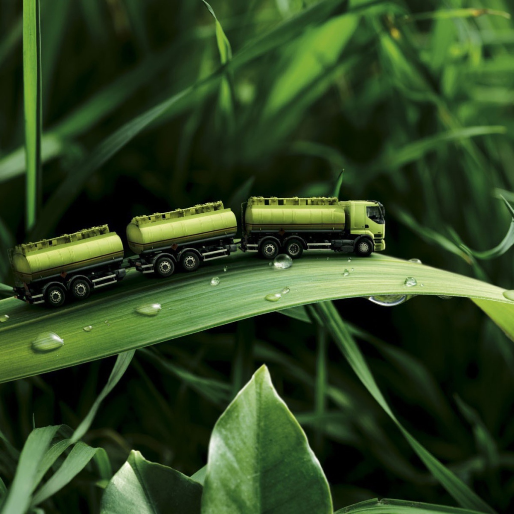 Игрушка на траве