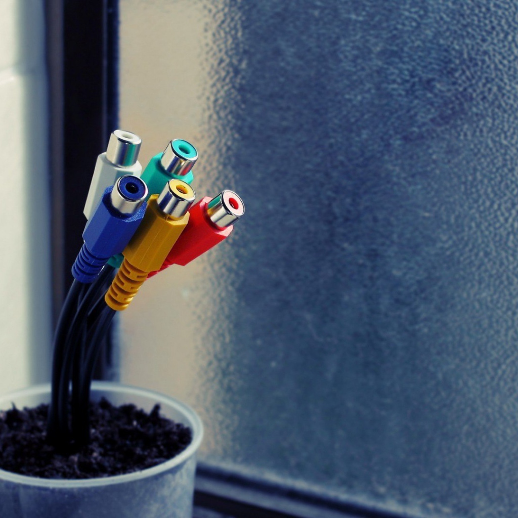 Тюльпаны в горшке