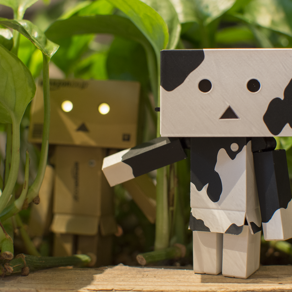 Два Дандо под листьями