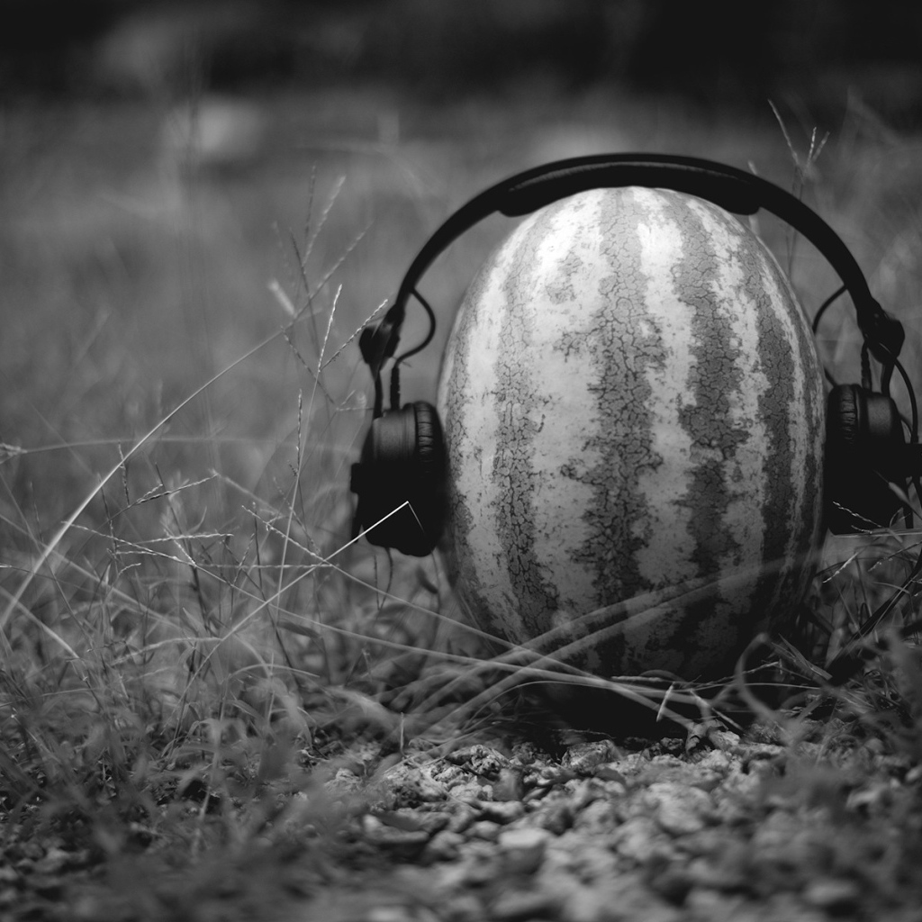 Арбуз в наушниках