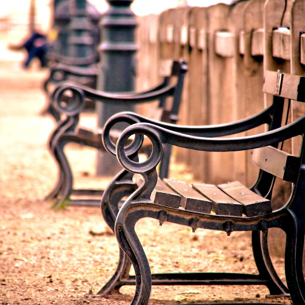 Кованые скамьи у деревянного забора