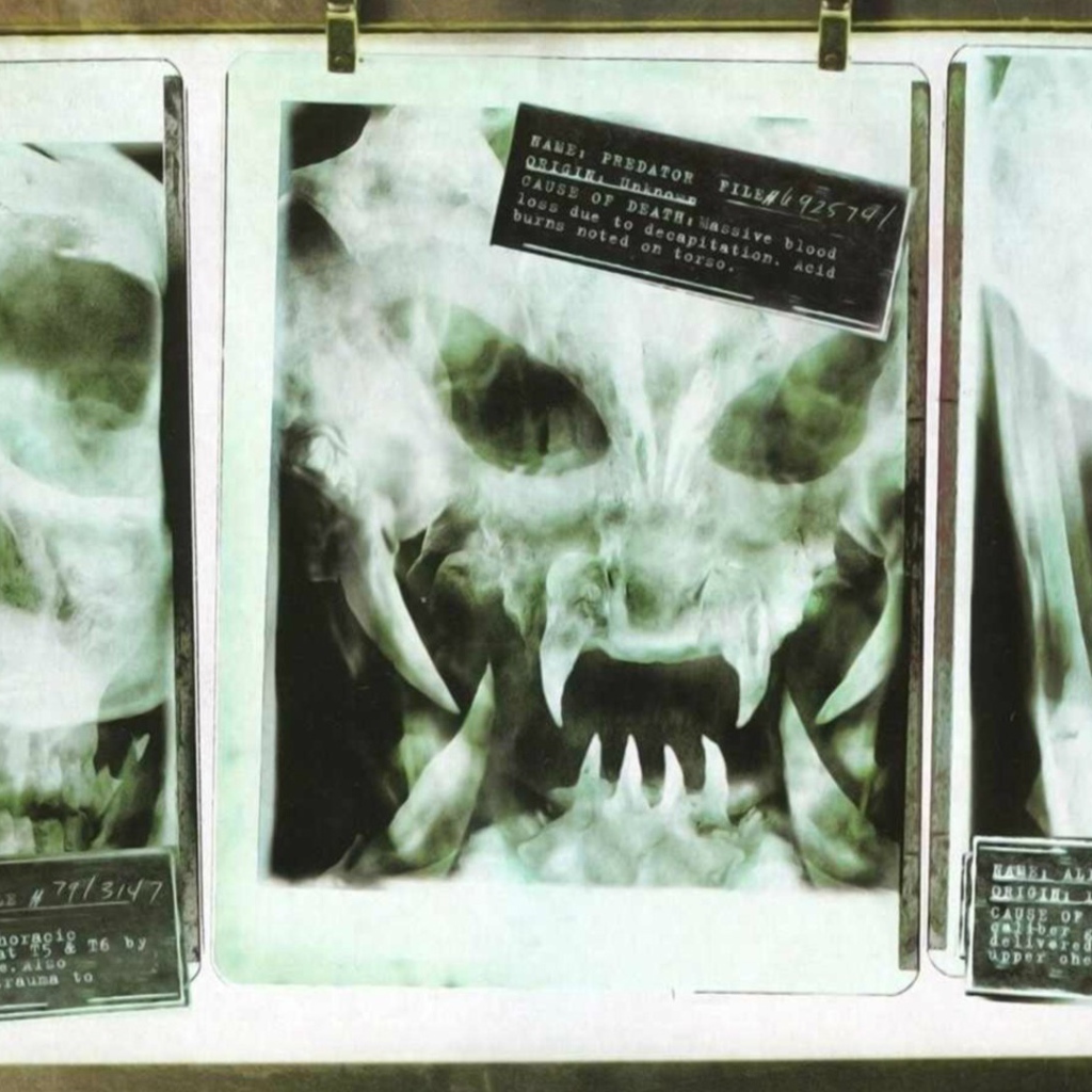 Рентгеновские снимки опасных созданий