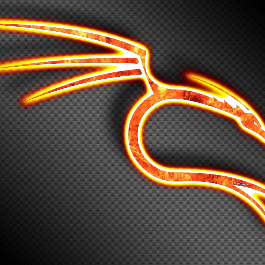 Знак огненного дракона